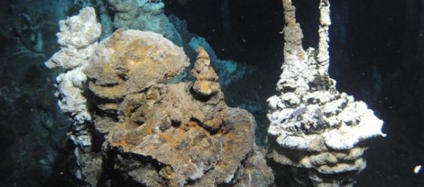 Missing link in evolution of complex life found - Market Business News - marketbusinessnews.com Missing link in evolution of complex life found - Market Business News - marketbusinessnews.com