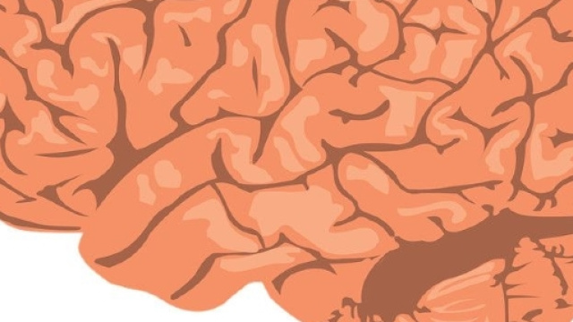 Cervello: il bisogno fondamentale di sonno