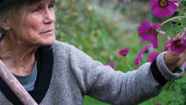 La contemplation de la nature, et de la beauté des fleurs