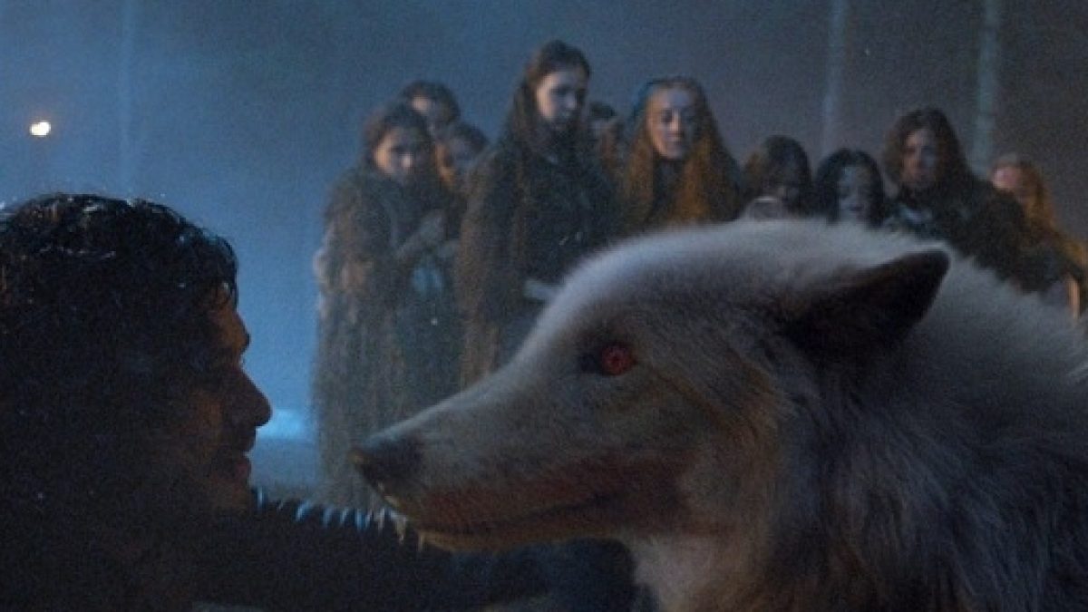 Game Of Thrones: Albino Arctic Wolf That Played Ghost Has Passed Away