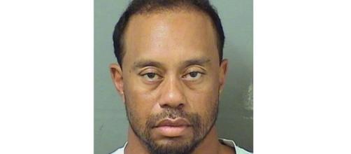 Tiger Woods Charged With Driving Under the Influence... (via Toronto Star - thestar.com) - source from BN Library