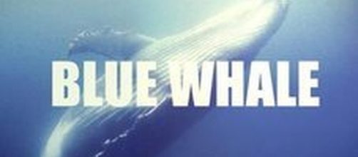 Blue Whale, il tragico gioco che porta al suicidio: ecco le ... - leggo.it