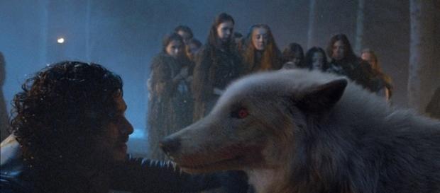 Game of Thrones - Is the real life Ghost dead? Screencap: valar morghulis via YouTube Game of Thrones - Is the real life Ghost dead? Screencap: valar morghulis via YouTube