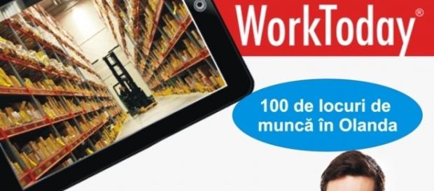 Locuri de muncă în Olanda pentru români Locuri de muncă în Olanda pentru români