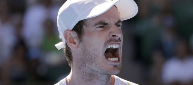 No. 1 Andy Murray knocked out of Australian Open 2017 in fourth ... - pinterest.com No. 1 Andy Murray knocked out of Australian Open 2017 in fourth ... - pinterest.com