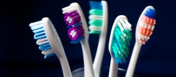 Could you toothbrush be making you sick - Photo: Blasting News Library - citifmonline.com Could you toothbrush be making you sick - Photo: Blasting News Library - citifmonline.com