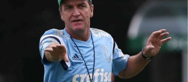 Cuca reafirma possibilidade de novos reforços Cuca reafirma possibilidade de novos reforços