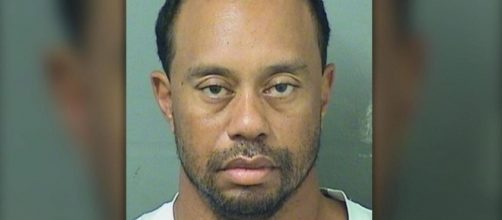 Photo Tiger Woods courtesy Palm Beach County Sheriff's Office
