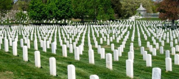Memorial Day Honoring Those Lost CC0 Public Domain Maxpixel Memorial Day Honoring Those Lost CC0 Public Domain Maxpixel