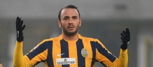 In foto Gianpaolo Pazzini, attaccante dell'Hellas Verona