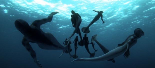 Informe: ¿Existen las sirenas? ¿Mito o realidad? • MundoTKM - mundotkm.com Informe: ¿Existen las sirenas? ¿Mito o realidad? • MundoTKM - mundotkm.com