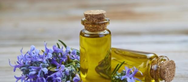 Olio essenziale di rosmarino: migliora la memoria e le capacità intelletive - Hod.it - hod.it Olio essenziale di rosmarino: migliora la memoria e le capacità intelletive - Hod.it - hod.it