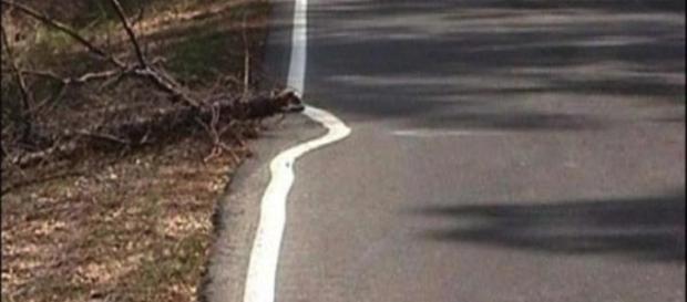 16 Imagens que mostram como as pessoas são preguiçosas 16 Imagens que mostram como as pessoas são preguiçosas