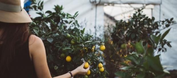L'inizio del 2017 conferma l'appeal dell'agroalimentare italiano all'estero L'inizio del 2017 conferma l'appeal dell'agroalimentare italiano all'estero