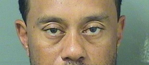 Tiger Woods, detenido en Florida por conducir ebrio Tiger Woods, detenido en Florida por conducir ebrio