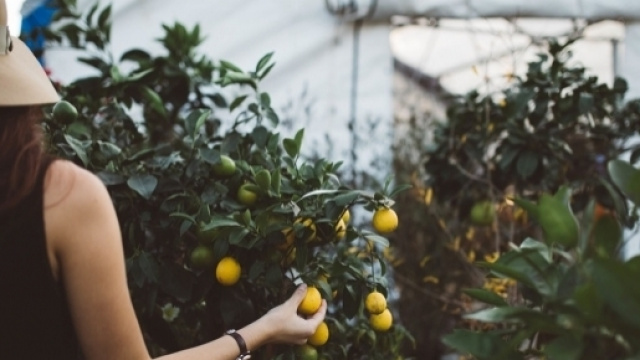 L'inizio del 2017 conferma l'appeal dell'agroalimentare italiano all'estero