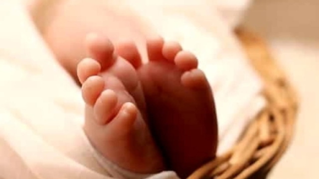 Non ce l'ha fatta il neonato abbandonato stanotte a Settimo Torinese.