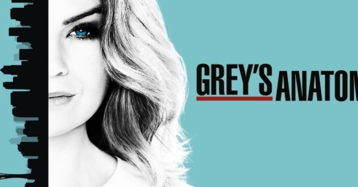 'Grey's Anatomy' Season 14 spoilers: Megan is alive ---what will happen