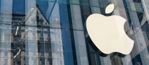 apple invest in dogecoin