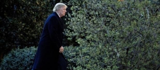 Something 'fishy' going on with Trump's Twitter? Photo: Blasting News Library Something 'fishy' going on with Trump's Twitter? Photo: Blasting News Library