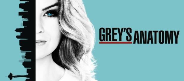 Watch Grey's Anatomy TV Show - ABC.com - go.com Watch Grey's Anatomy TV Show - ABC.com - go.com