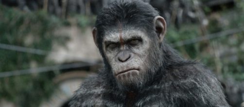 Watch Dire New 'War for the Planet of the Apes' Trailer - Rolling ... - rollingstone.com
