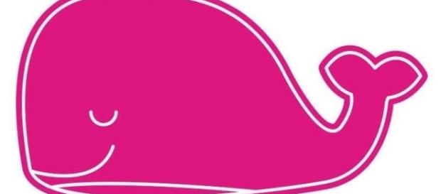 "La ballena rosa" la ingeniosa respuesta a "La ballena azul" (Facebook - Baleia Rosa) "La ballena rosa" la ingeniosa respuesta a "La ballena azul" (Facebook - Baleia Rosa)