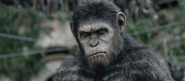 Watch Dire New 'War for the Planet of the Apes' Trailer - Rolling ... - rollingstone.com Watch Dire New 'War for the Planet of the Apes' Trailer - Rolling ... - rollingstone.com