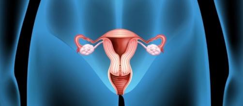 El tamano importa para la mujer El tamano importa para la mujer