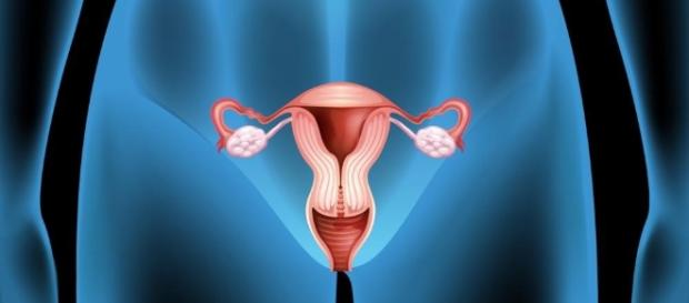 estudiantespilas - Solo para mujeres - wikispaces.com estudiantespilas - Solo para mujeres - wikispaces.com