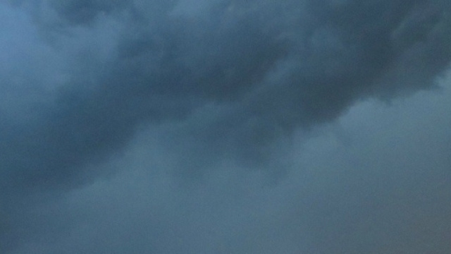 Funghi e Natura ai Castelli Romani : maggio 2013 - blogspot.com