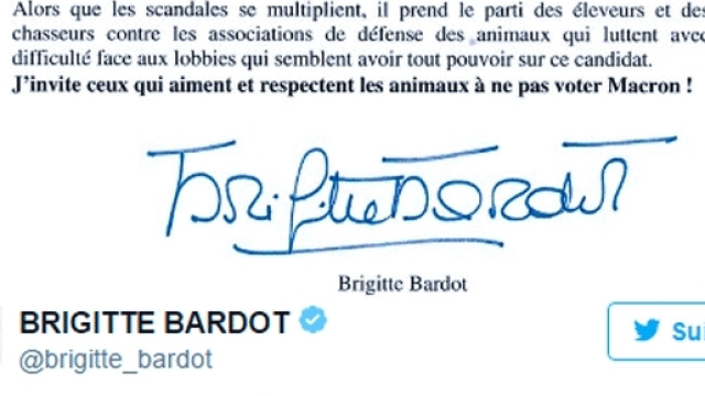 Mais où Brigitte Bardot va-t-elle chercher tout cela ?