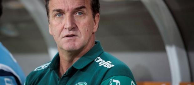 Cuca é o novo técnico do Palmeiras Cuca é o novo técnico do Palmeiras