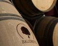 Salcheto: the new pioneers of Tuscan wine