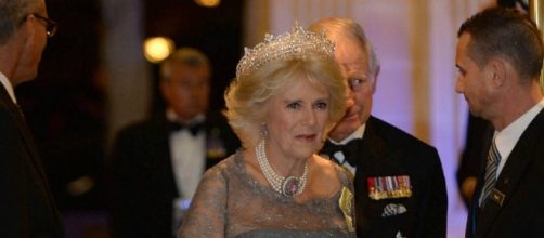Camilla Parker-Bowles As Queen: Learn What Camilla Really Wants ... - inquisitr.com