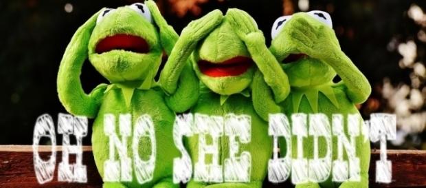 Funny Oh No She Didn't frog meme via Pixabay Funny Oh No She Didn't frog meme via Pixabay
