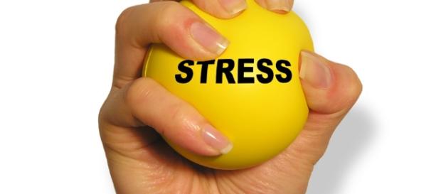 http://alsafeeradvt.com/images/products/stationery_gifts/stress_ball/stress_ball_01.jpg http://alsafeeradvt.com/images/products/stationery_gifts/stress_ball/stress_ball_01.jpg