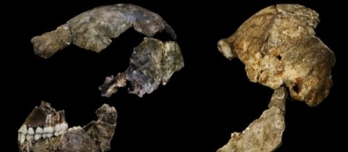Remains of ancient human species found in S Africa cave - Al ... - aljazeera.com