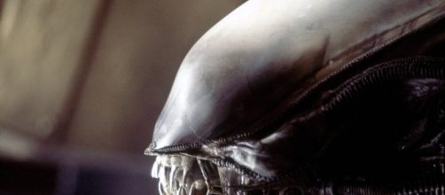 Ridley Scott: aliens are out there and one day they'll come for us ... - modernsurvivalliving.com