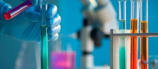Offerte di Lavoro Bayer e Wikenfarma: domanda maggio-giugno 2017 Offerte di Lavoro Bayer e Wikenfarma: domanda maggio-giugno 2017