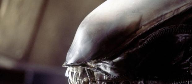 Ridley Scott: aliens are out there and one day they'll come for us ... - modernsurvivalliving.com Ridley Scott: aliens are out there and one day they'll come for us ... - modernsurvivalliving.com