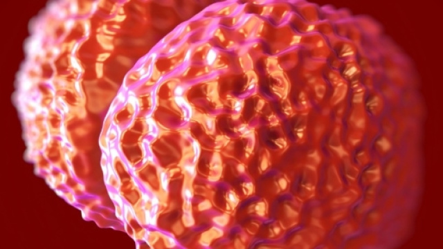 Un uomo di 66 anni ucciso a Imola dalla meningite. In Inghilterra la stessa sorte &egrave; toccata a un bambino di appena 3 settimane - (foto panorama.it)