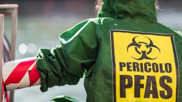 PFAS: denuncia di Greenpeace sui livelli registrati in Veneto - gelocal.it