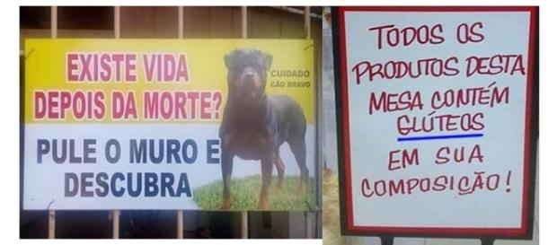 O brasileiro é o povo mais zoeiro da internet O brasileiro é o povo mais zoeiro da internet