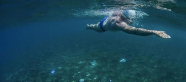 ONU lança campanha para tirar plásticos dos oceanos ONU lança campanha para tirar plásticos dos oceanos