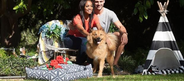 The Bachelorette Rachel Lindsay's Dog Copper - Screenshot The Bachelorette Rachel Lindsay's Dog Copper - Screenshot