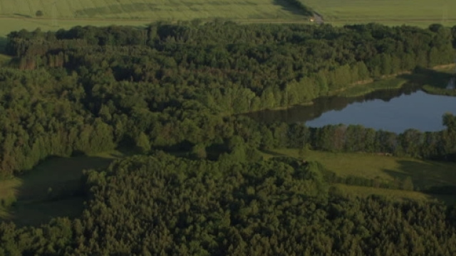 In una foresta della Sassonia in prossimit&agrave; di uno stagno una donna in un'auto ha partorito un bambino e poi &egrave; morta dissanguata.