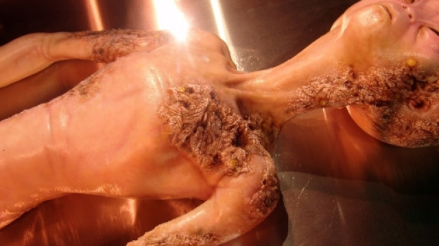 Rivelazione shock della Nasa: “tra 20 anni incontreremo gli alieni ... - controcopertina.com