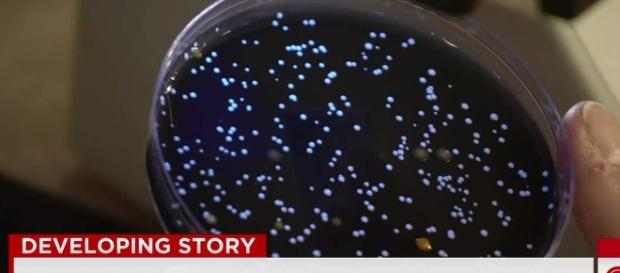 Image from Blasting News Image Library. Image from Blasting News Image Library.