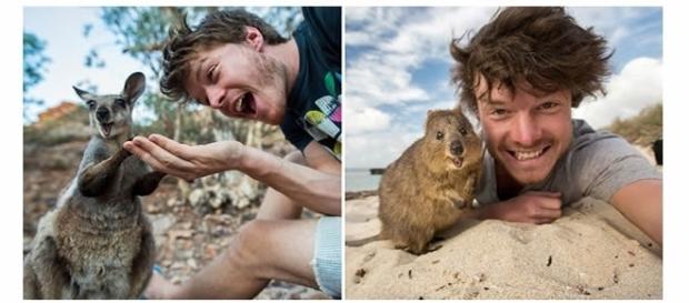 Selfies bem criativas com animais Selfies bem criativas com animais